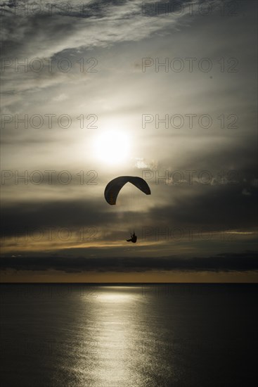 Paraglider