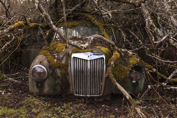 Oldtimer