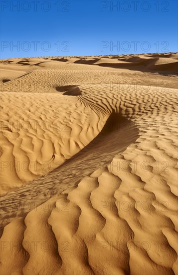 Sand dunes of Erg Oriental