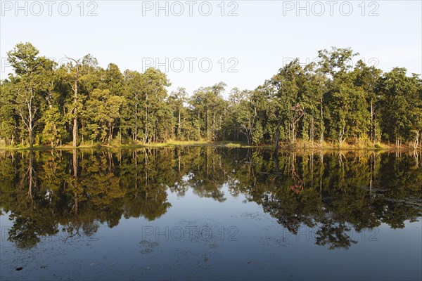 Trees reflected in Twenty Thousand Lake