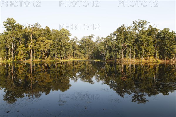 Trees reflected in Twenty Thousand Lake