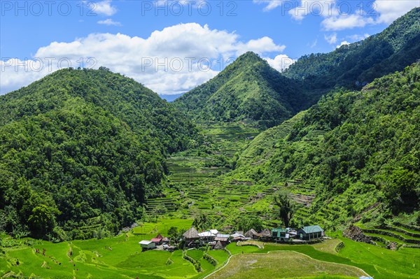 Bangaan in the rice terraces of Banaue