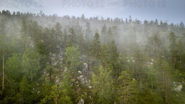 Drone shot