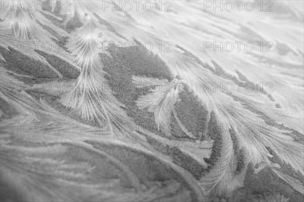 Frost tracery patterns on glass pane