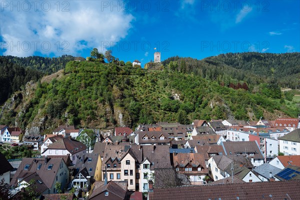 View of Hornberg