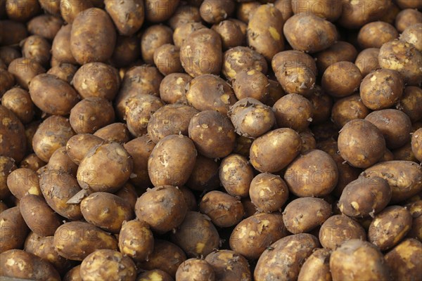 Potatoes