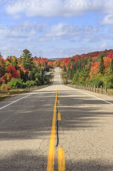 Road through autumn forest