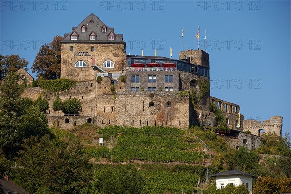 Rheinfels Castle