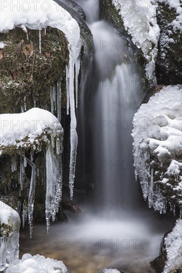 Myra Falls