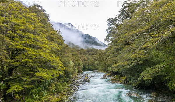 Hollyford River with mountains