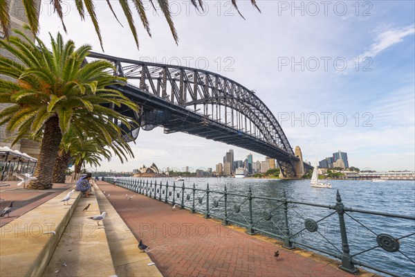 Sydney Harbor Bridge