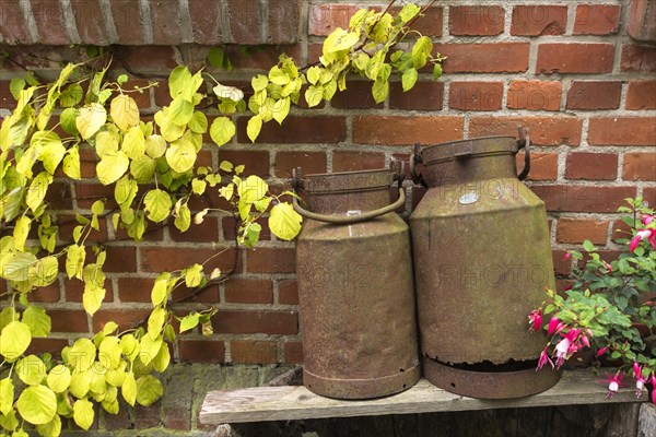 Rusty old milk cans in front of a brick wall