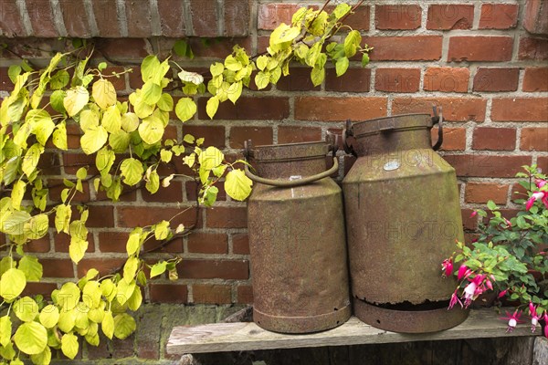 Rusty old milk cans in front of a brick wall