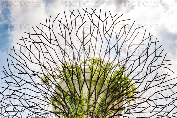 Supertree