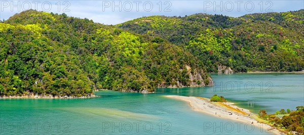 Yellow sand beach with tropical overgrown hills