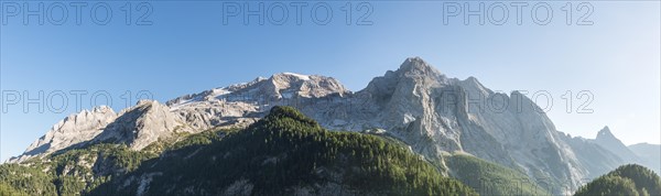 View of forest and mountains