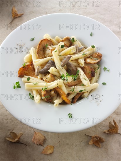 Wild chanterelle or girolle