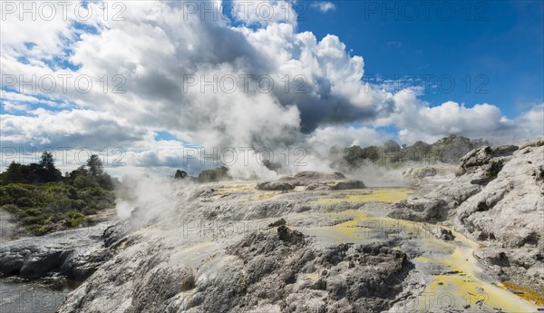 Steaming Pohutu Geyser and Prince of Wales Feathers Geyser