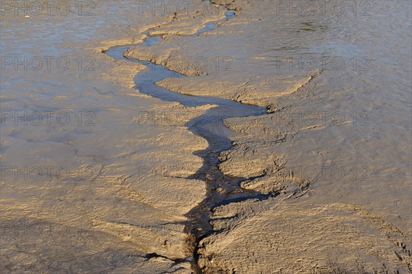 Rivulet in mud