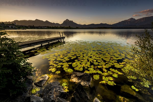 Dock at mountain lake with lily pads