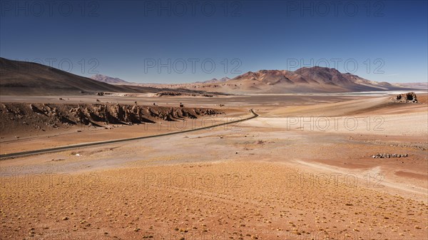 Andean Plain