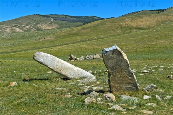 Stone steles decorated with animal engravings and patterns