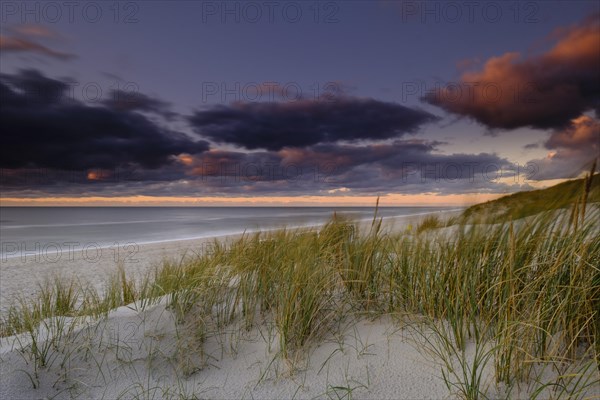 West beach of Hornum in the evening light