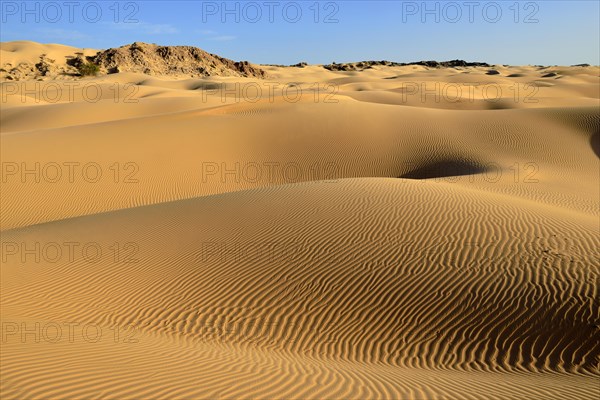 Sanddunes of Al Khaluf desert