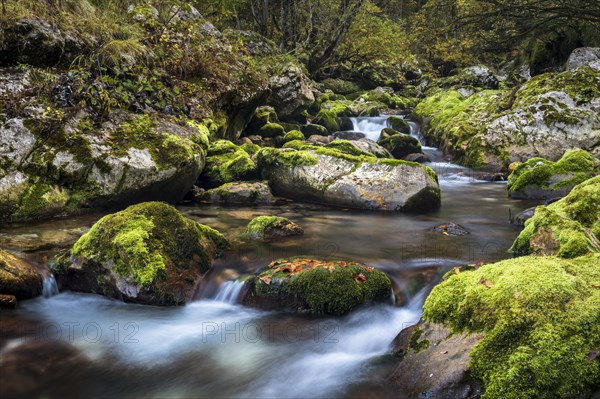 Creek with mossy rocks