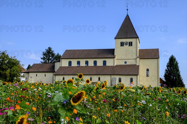 Meadow of flowers in front of George Church