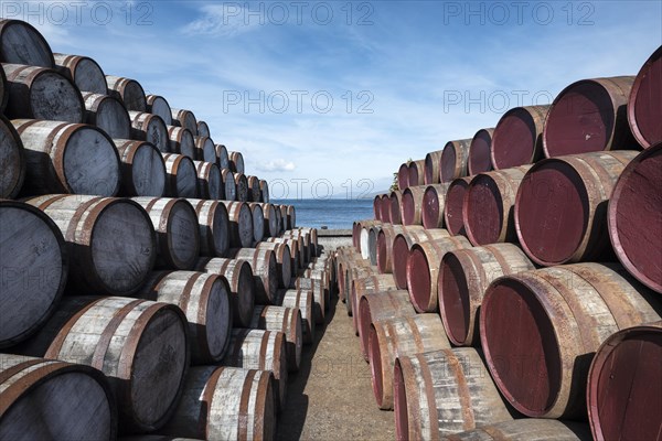 Whisky barrels