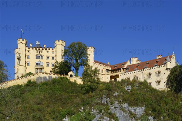 Hohenschwangau Castle