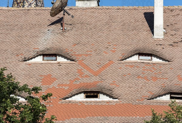 Attic Windows