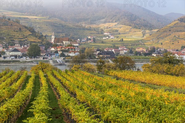 Village view Spitz an der Donau