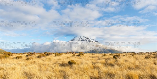 Stratovolcano Mount Taranaki or Mount Egmont with cloud