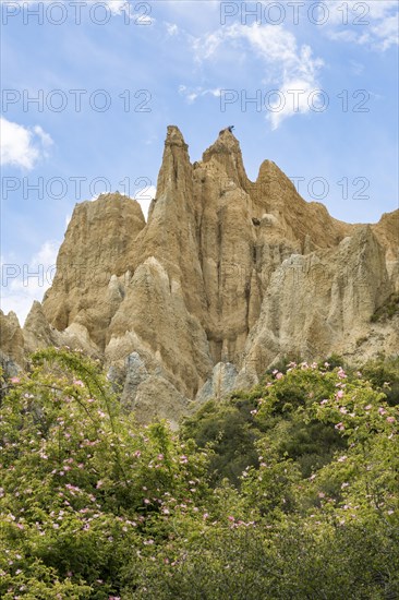 Clay Cliffs near Omarama