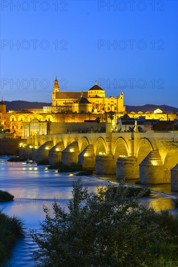 Roman bridge