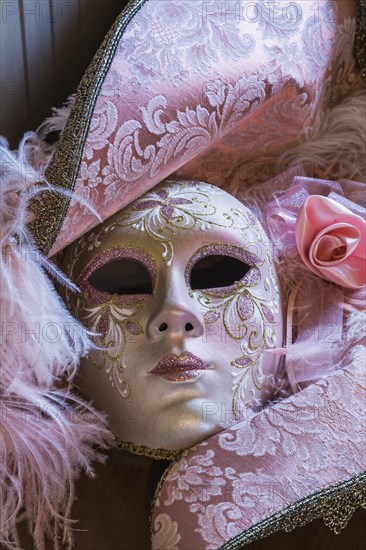 Silk embroidered decorative female venetian mask