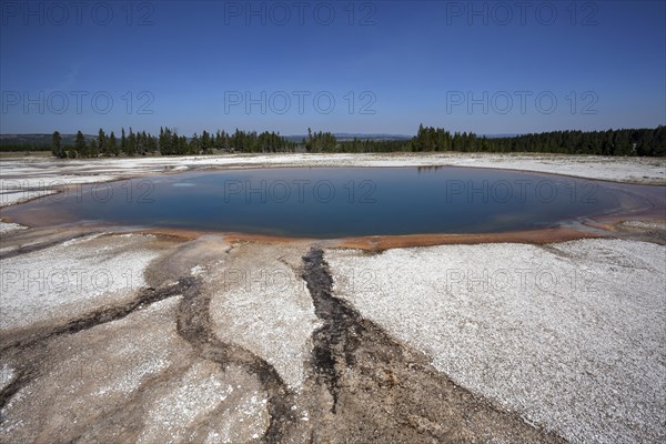 Turquoise Pool