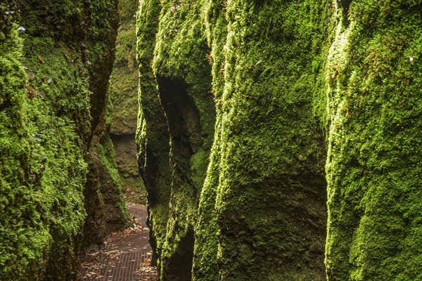 Canyon Drachenschlucht