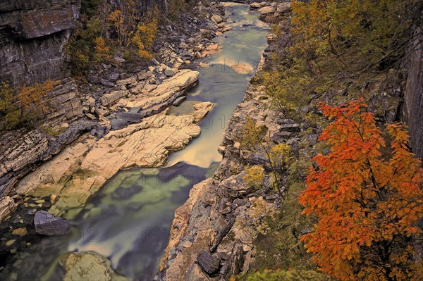 Autumn colours