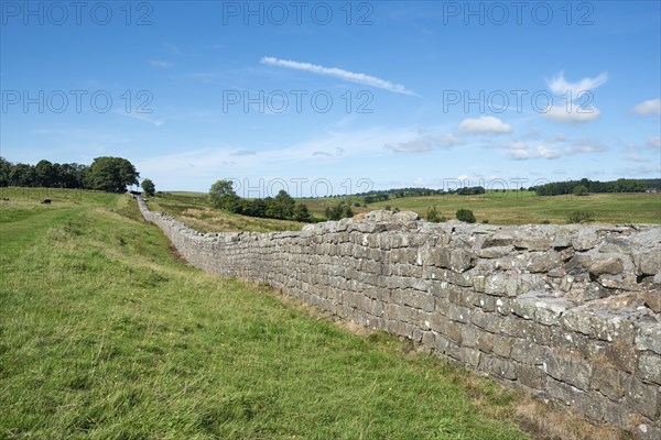 Hadrian's Wall at Haltwhistle