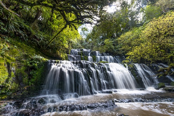 Purakaunui Falls