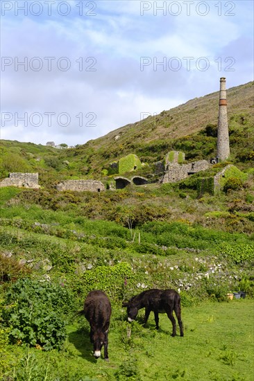 Ruins of a tin mine