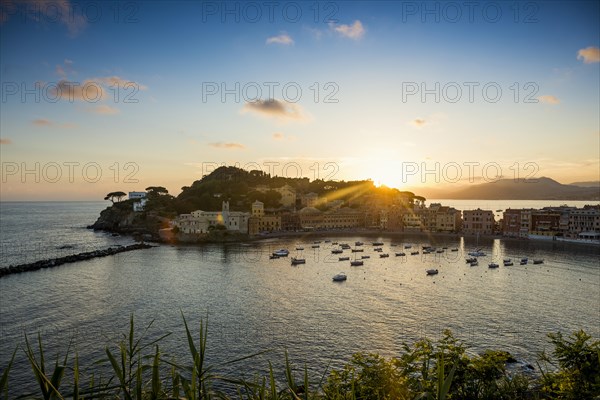 View of the village with harbour in the bay Baia del Silenzio at sunset