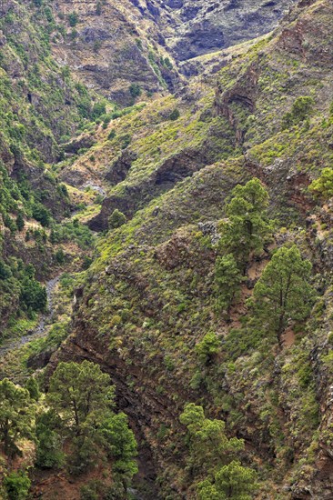 Barranco De Garome