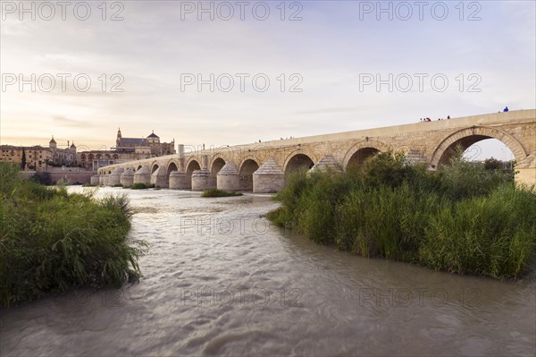 Puente Romano