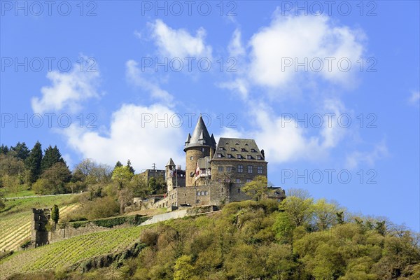 Castle Stahleck