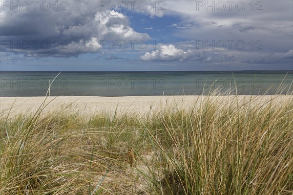 Beach and Baltic sea at Baabe