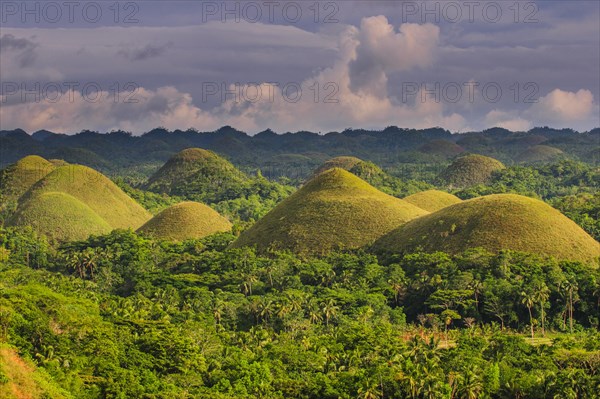 Chocolate Hills